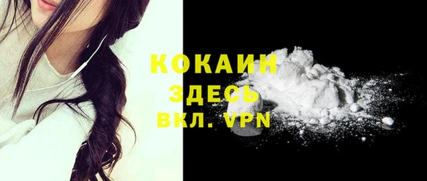 спайс Няндома