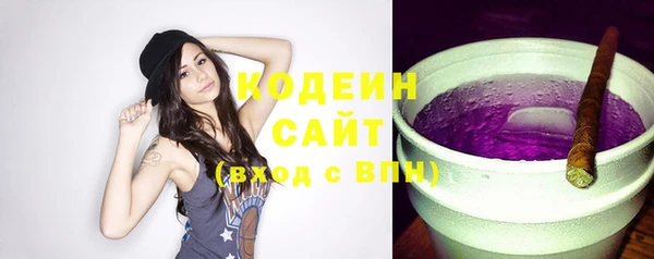 спайс Няндома