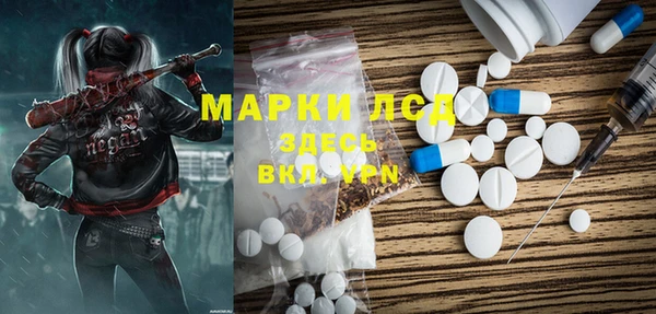 спайс Няндома