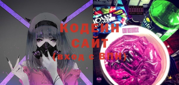 спайс Няндома