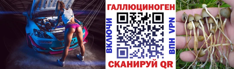 Галлюциногенные грибы Cubensis  Саратов 