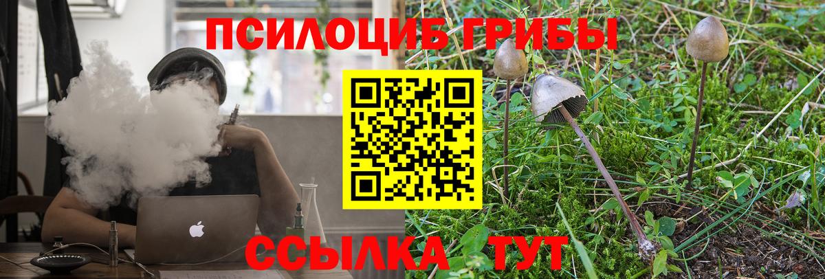 Псилоцибиновые грибы мухоморы  Саратов 