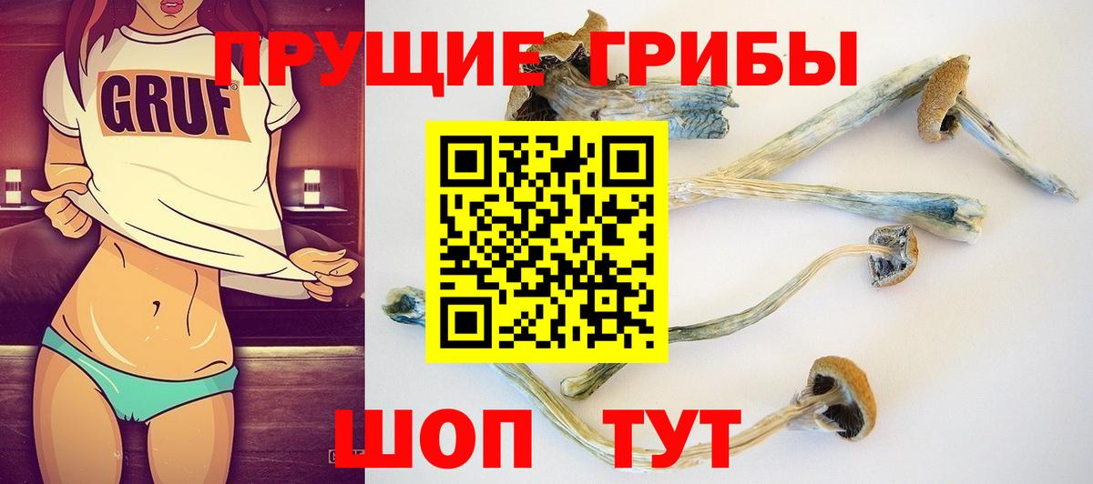 где купить наркоту  Псилоцибиновые грибы Magic Shrooms  Галлюциногенные грибы мухоморы  Вход с VPN  Саратов 