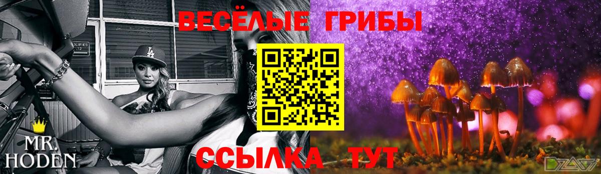 дарнет шоп  Саратов  Галлюциногенные грибы прущие грибы 